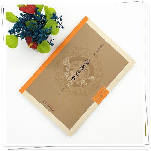 慎斋遗书（中医临证经典文库）(明) 周之干 著 中国中医药出版社 明清中医临证小丛书 古典医籍 书籍 商品图1