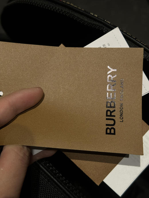 巴家徽标刺绣拉链开合格纹双肩包 商品图8