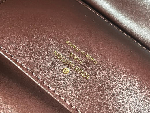 秋冬特惠💰1600 渠道级LV 新品 te级LV 动态芯片 M12927/M48865Souple棕啡 本款Capucines Souple手袋 商品图7