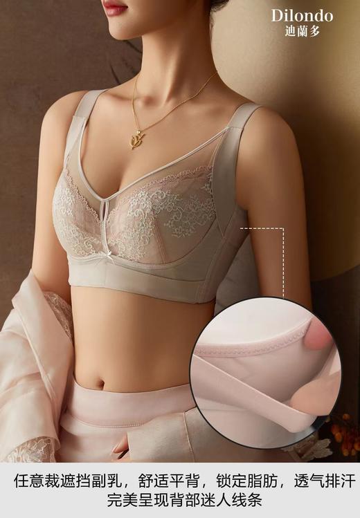 迪兰多蚕丝蛋白薄棉调整型文胸侧收托挺包容固定大胸显小2118472 商品图4