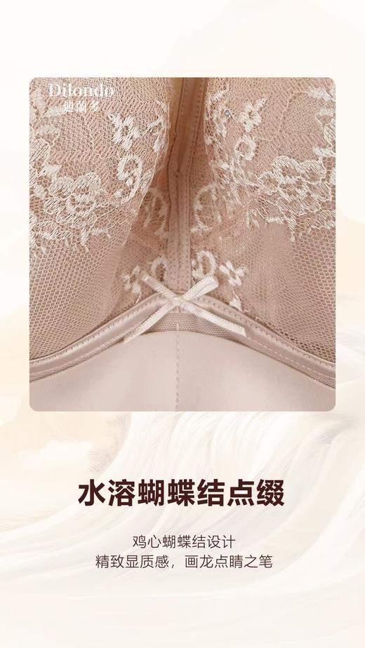 迪兰多蚕丝蛋白薄棉调整型文胸侧收托挺包容固定大胸显小2118472 商品图9