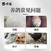 华畜百草鸽浴盐鸽子洗澡专用除味赛鸽鹦鹉鸟类养殖用虱子螨虫体外 商品缩略图1