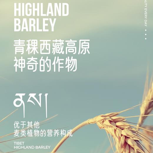 青稞片青稞麦片系列纯正原味600g/袋 西藏无污染原产地 健康粗粮 商品图5