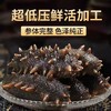 海参（大长山岛底播参） 商品缩略图0