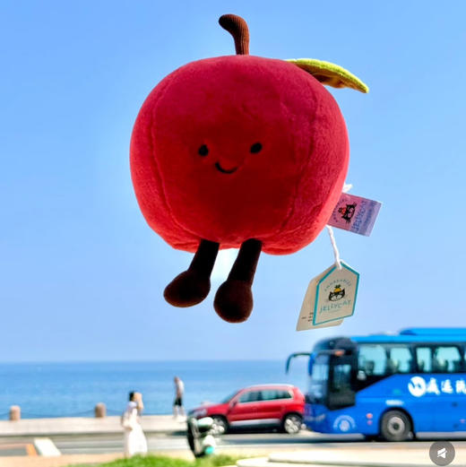 原单版本jellyca*t圣诞平安果🍎玩偶112101 商品图5