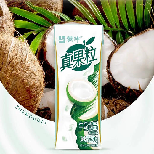 蒙牛真果粒椰果味牛奶酸奶饮品 商品图0