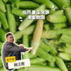 生态玉米笋（浙江） | 合作生产*Ecological baby corn | Partner Production 商品缩略图0