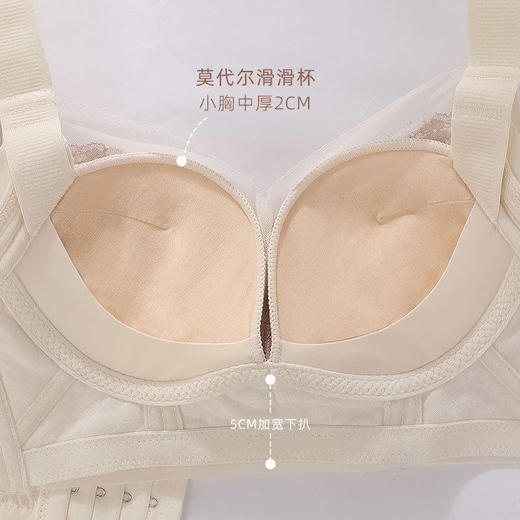 ZYQ-619  内衣小胸聚拢显大滑滑杯舒适性感蕾丝宫廷风大调整本命年文胸（单件） 商品图2