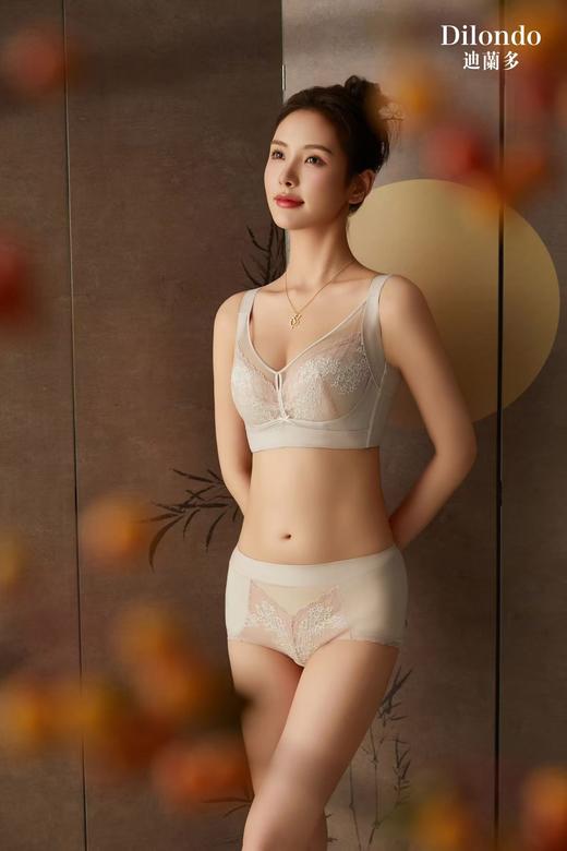 迪兰多蚕丝蛋白薄棉调整型文胸侧收托挺包容固定大胸显小2118472 商品图1
