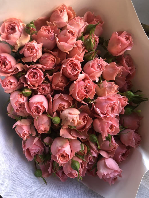 多头玫瑰·人鱼公主 商品图0