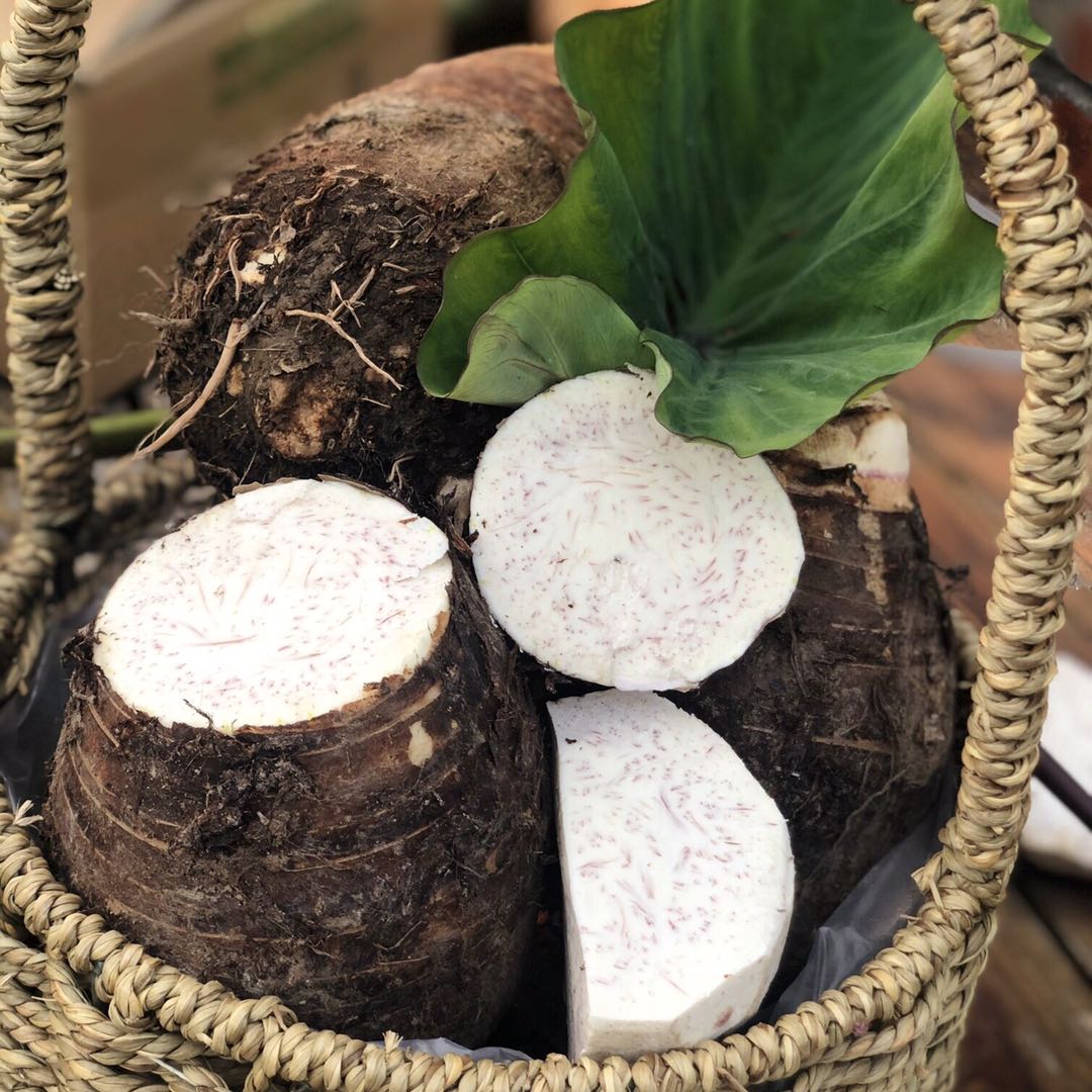 【287项农残0检出】中国地理标志产品《广西荔浦芋头》   肉质粉糯  芋香浓郁