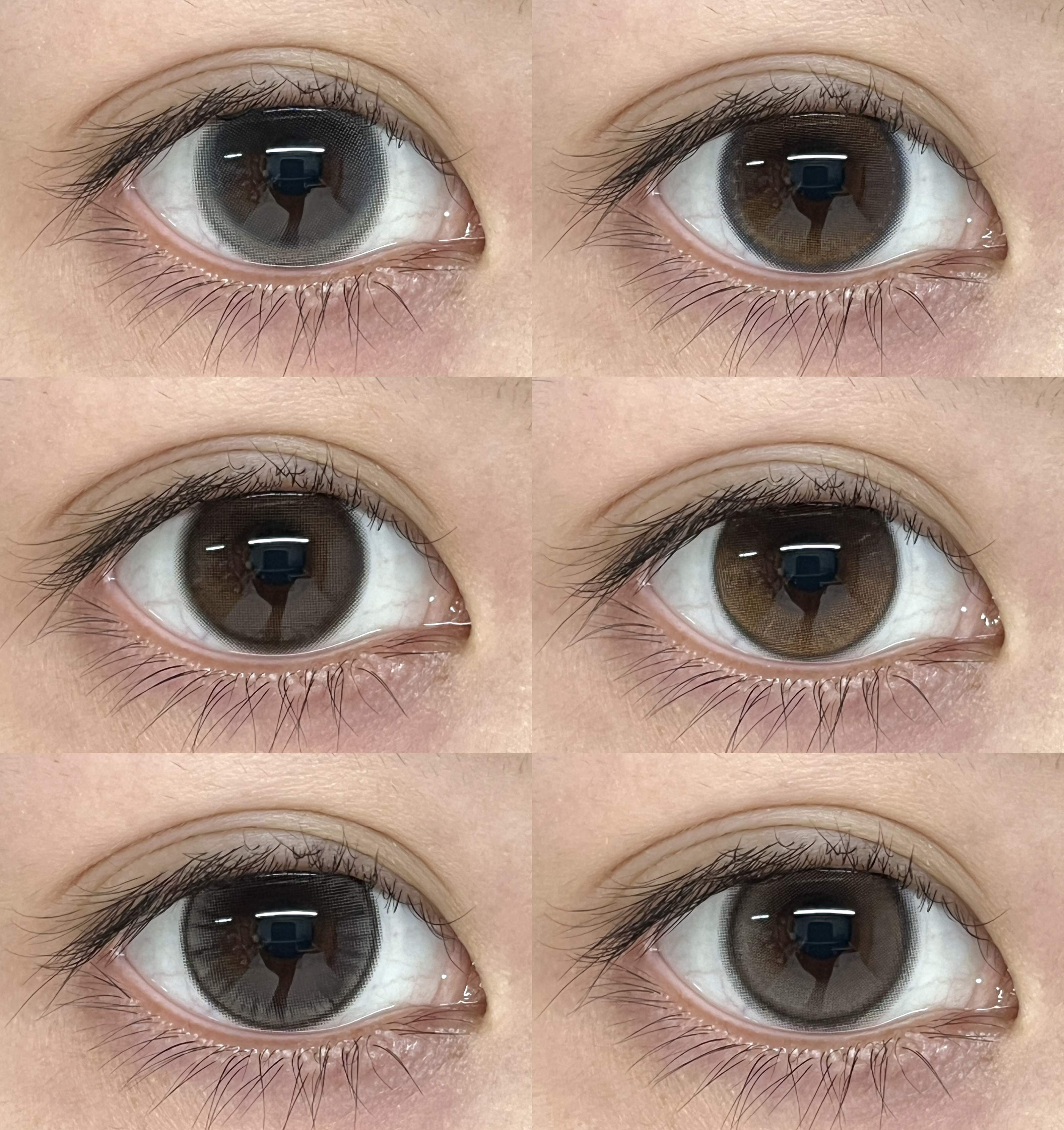 skeye日抛 淡颜星人/韩系水光/懒懒小猫/水光滤镜/透金琥珀/野生柑子 14.2mm 日抛无售后！！棕黑  硅水凝胶