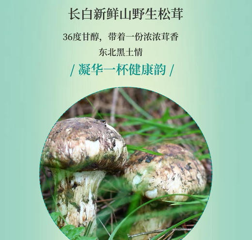 爱茸茸松茸酒长白山野生松茸36度正品延边特产原液酒150毫升3瓶 商品图2