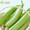 李家一亩田&奶油玉翠水嫩小黄瓜 ，黄瓜味道超浓，不苦不涩 ，脆嫩爽口，净重约3斤 商品缩略图1