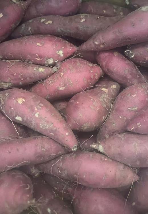 周日取货：【红瑶蜜薯】一袋2斤左右，甜而不腻，软糯清香哦！ 商品图6