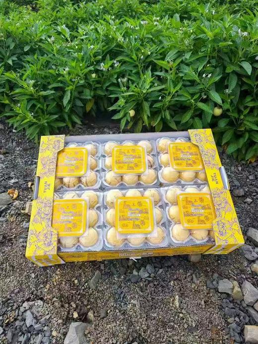 【会员15.5/盒】砾元云南树熟风化石人参果 商品图8