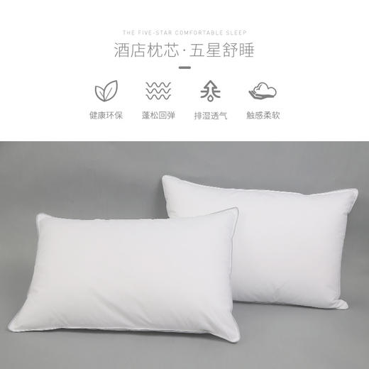 HZ羽绒枕芯 酒店款 1100g 80*50cm 商品图2