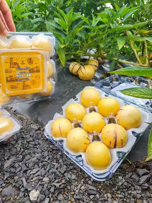 【会员15.5/盒】砾元云南树熟风化石人参果 商品图11