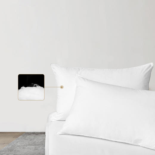 HT枕芯 长方形 定制  羽丝棉 通用 1210g 78*46cm 商品图2