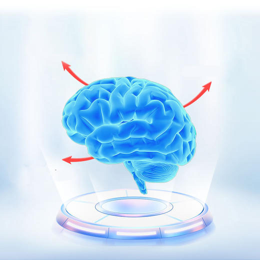 斐利德磷脂酰丝氨酸凝胶糖果 850mgx60片 商品图3