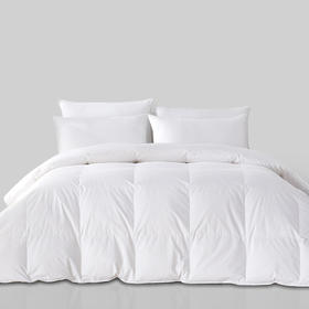 HZ鸭绒被芯 酒店款  70%白鸭绒