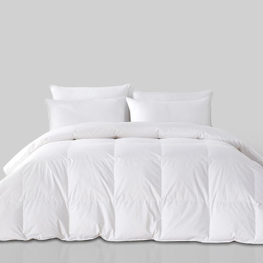 HZ鸭绒被芯 酒店款  70%白鸭绒 商品图0