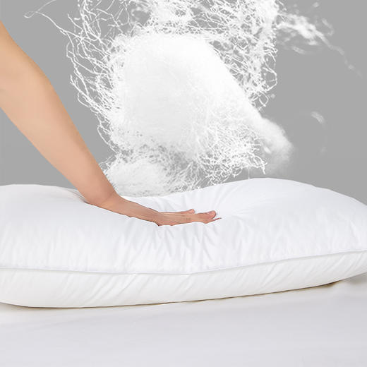 HT枕芯 长方形 定制  羽丝棉 通用 1210g 78*46cm 商品图1
