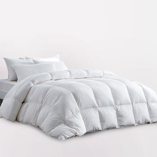 HZ鸭绒被芯 酒店款  70%白鸭绒 商品图1