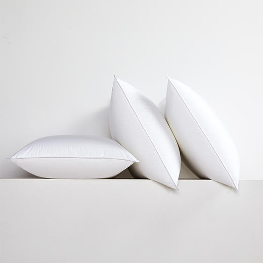 HT枕芯 长方形 定制  羽丝棉 通用 1210g 78*46cm 商品图0