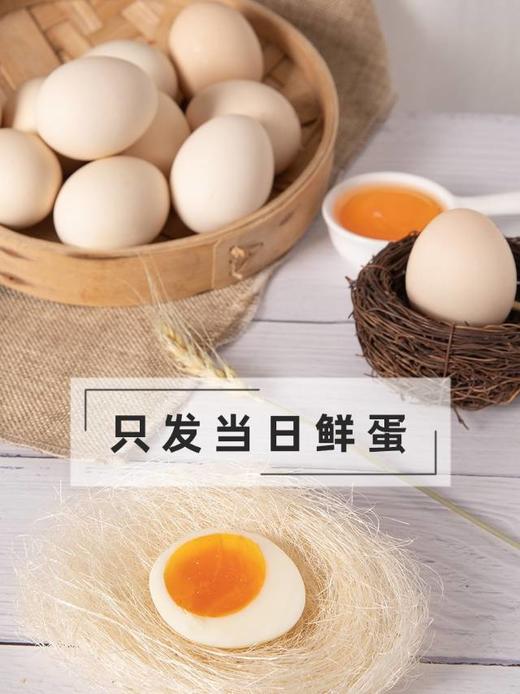 【农场补贴】九华山高山散养富硒土鸡蛋（现捡现发） 商品图5