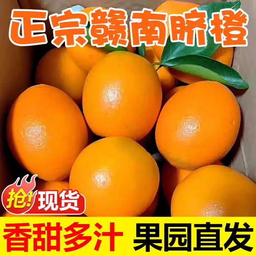 正宗赣南脐橙优质当季水果20斤装时令精品大果新鲜橙产地果园现发 商品图0