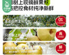 喜善花房100%鲜梨膏/1盒（140g*3瓶） 商品缩略图3