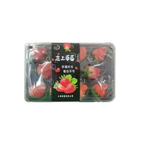 徐州宁玉草莓（盒）