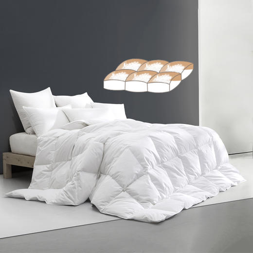 HZ鹅绒被芯 酒店款  70%白鹅绒 商品图1