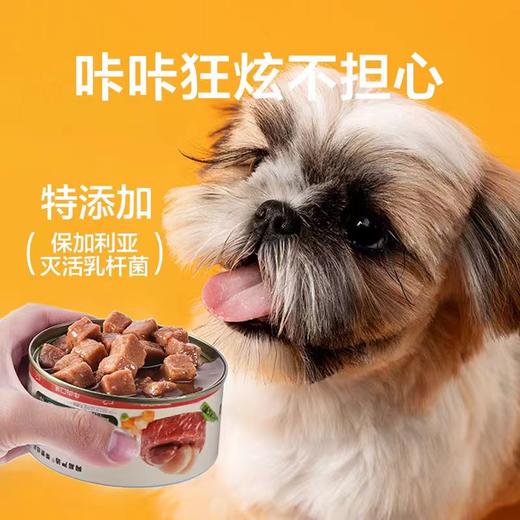 网易严选 犬用缤纷肉肉罐 170g/罐 商品图3