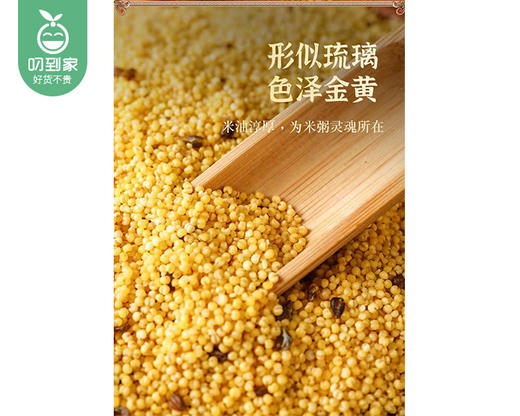 岁盟堂苦荞小米/1包（1.5kg）生产日期：25年11月 商品图3