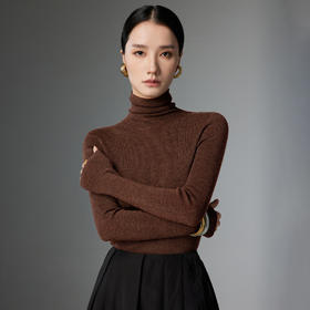 丁摩 精纺超细100纯羊毛衫女高领打底衫薄款针织毛衣8820F