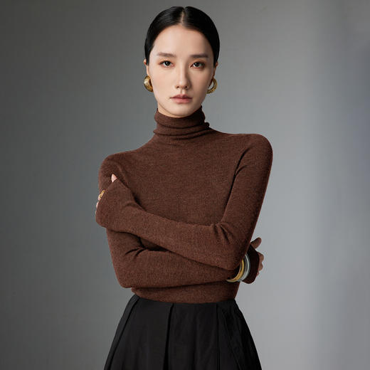 丁摩 精纺超细100纯羊毛衫女高领打底衫薄款针织毛衣8820F 商品图0