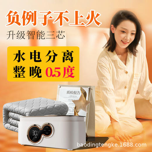 源头工厂水暖电热毯智能恒温定时水循环加厚水电褥子家用主机款 商品图2