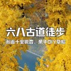 【亲子营】徒步六八古道，邂逅八都岕银杏长廊，制作魔法精灵帽，遇见金色童话世界 商品缩略图0