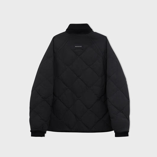 【新品上新】HX 冬季短款翻领薄羽绒服S100544086101/02 商品图3