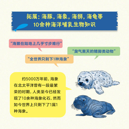 我在博物馆解剖鲸鱼 商品图3