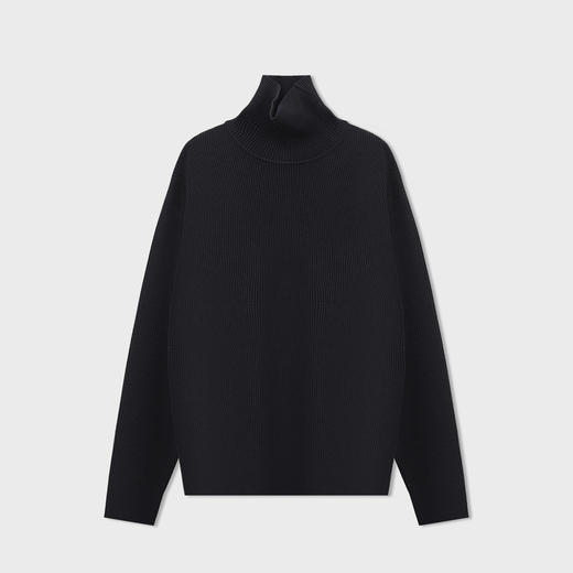 【新品上新】HX 冬季高领毛衫Z107540041101/02 商品图2