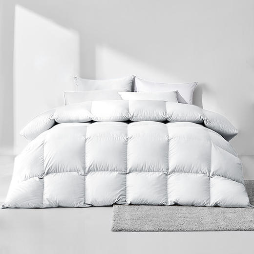 HZ鹅绒被芯 酒店款  70%白鹅绒 商品图0