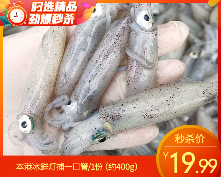 【叼鲜】本港冰鲜灯捕一口管/1份（约400g）