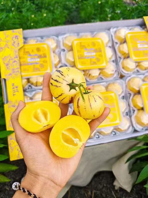 【会员15.5/盒】砾元云南树熟风化石人参果 商品图9