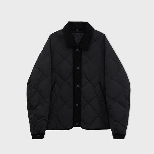 【新品上新】HX 冬季短款翻领薄羽绒服S100544086101/02 商品图2