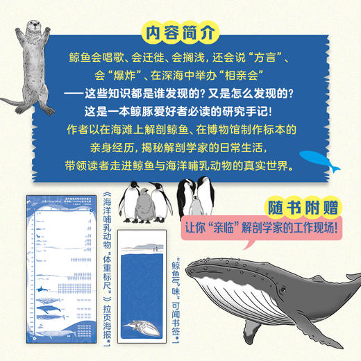 我在博物馆解剖鲸鱼 商品图4