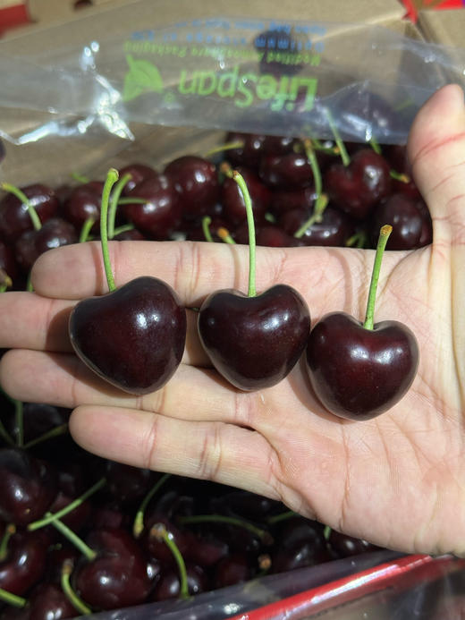 智利空运车厘子 商品图5