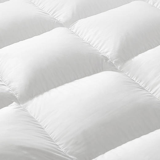 HZ鸭绒被芯 酒店款  70%白鸭绒 商品图3